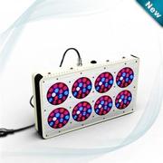 Apollo LED Grow Lights