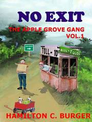 The Apple Grove Gang Series-Books for kids 8-12 hamiltoncburger.com