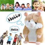 cheap toy and hobbies available