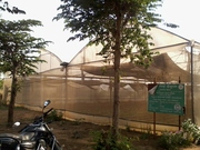 Green House (Poly House)