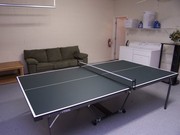 Table Tennis Table