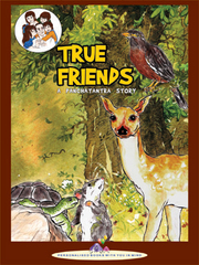 Personalised Story Book For Special Rakhi Gifts