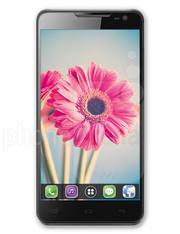   Lava     Iris     504Q