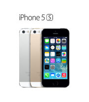 Apple iPhone 5S  (Silver-66664)