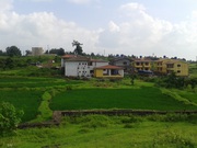 NA Title clear plot 7/12 clear land in nature tuch.