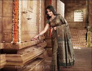 Kanchipuram Silk Sarees