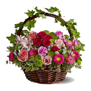 New Year gifts to india 