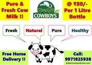 Pure, fresh and healthy cow milk for all Age group