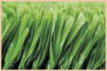 Artificial Grass