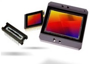 |ON SEMICONDUCTOR | APTINA | CCD IMAGE SENSOR |