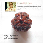 Wear Original 3 Mukhi Rudraksha from Teleone