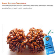 Gauri Shankar Rudraksha Call @ 09212600900