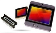 |ON SEMICONDUCTOR | APTINA | CCD IMAGE SENSOR | Mumbai