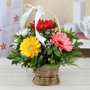 flowers delivery to noida
