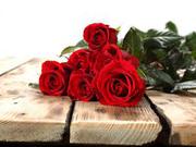 Send Flower in Jhansi  