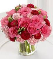   Send  flower to Surat