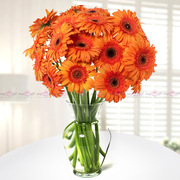 Orange Sunshine Flowers Bangalore