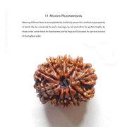 Wear Original Eleven Mukhi Rudraksha,  11 Mukhi Beads From Teleone