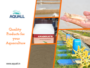 Buy Aquaculture Products at Best Prices in India | Aquall