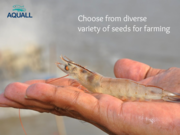 Buy Aquaculture seeds online at lowest prices in India - Aquall