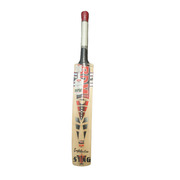 BDM Sting English Willow Cricket Bat - sabkifitness.com