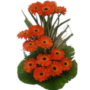 Best flower delivery Delhi