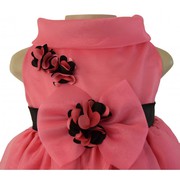 Onion Pink Organza Birthday Dress