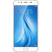 Vivo v5 Plus Price in India on 5th July 2017 at poorvika