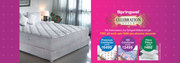 Exclusive Mattresses for Sale - Celebration Offer at Springwel