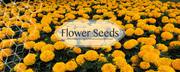 Buy garden seeds online in India | Biocarve