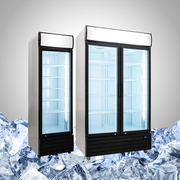 Checkout Visi Cooler Price Offered By Top Manufacturer