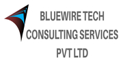 Bluewire Tech offers LPO service. Legal process outsourcing or LPO is 