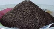 vermicompost- organic fertiliser