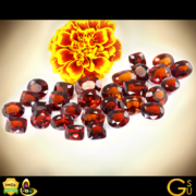 Gomed Stone Benefits | Hessonite Stone