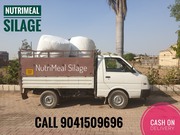 Silage Gujarat