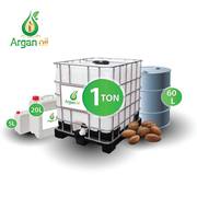 Argan Oil morocco in Bulk