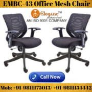 EMBC-43 Office Mesh Chair