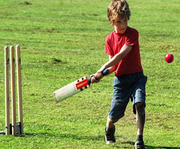 Cricket Turf Manufacturers in Bangalore 