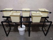 Dutch Bucket Hydroponic System