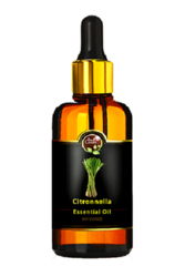 Citronella Essential Oil