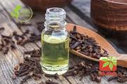 Clove Essential Oil