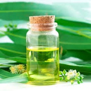 Eucalyptus oil