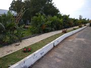 plots for sale near Dommasandra