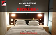 Bed Bugs Pest Control Services in Mumbai - Sadguru Pest Control