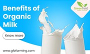 Organic Milk Near Me