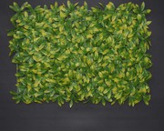 Aavana Greens Artificial Vertical Garden Tiles for Any Interior,  Garde