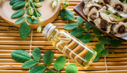 High-Quality Moringa Oil Wholesale | Moringa Oil Manufacturers