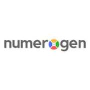 Website Design Company In Himachal Pradesh - Numerogen Solutions