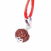 Why do people wear 9 Mukhi Rudraksha?