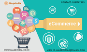 E-commerce Magento development agency